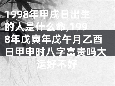1998年甲戌日出生的人是什么命,1998年戊寅年戊午月乙酉日甲申时八字富贵吗大运好不好