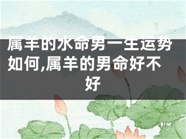 属羊的水命男一生运势如何,属羊的男命好不好