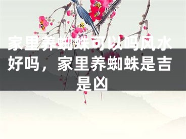 家里养蜘蛛可以吗风水好吗，家里养蜘蛛是吉是凶