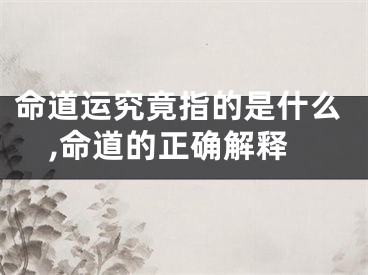 命道运究竟指的是什么,命道的正确解释
