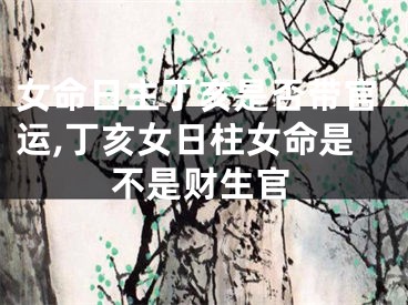 女命日主丁亥是否带官运,丁亥女日柱女命是不是财生官