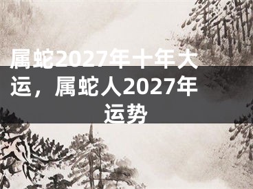 属蛇2027年十年大运，属蛇人2027年运势