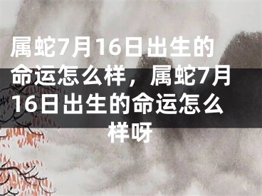 属蛇7月16日出生的命运怎么样，属蛇7月16日出生的命运怎么样呀