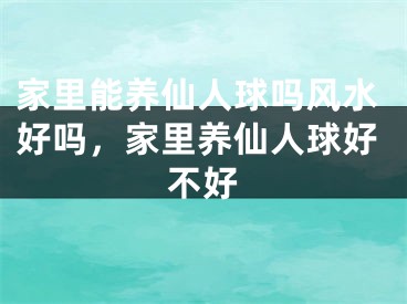 家里能养仙人球吗风水好吗,家里养仙人球好不好