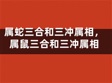 属蛇三合和三冲属相，属鼠三合和三冲属相