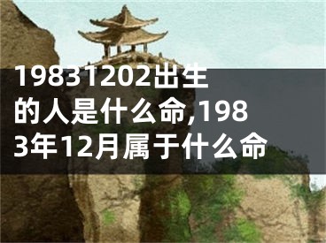 19831202出生的人是什么命,1983年12月属于什么命