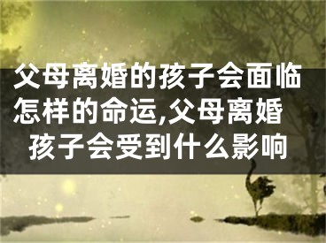 父母离婚的孩子会面临怎样的命运,父母离婚孩子会受到什么影响