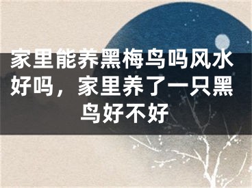 家里能养黑梅鸟吗风水好吗，家里养了一只黑鸟好不好