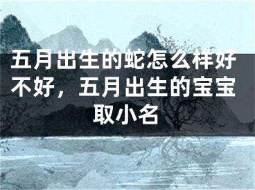 五月出生的蛇怎么样好不好，五月出生的宝宝取小名