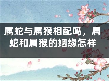 属蛇与属猴相配吗,属蛇和属猴的姻缘怎样