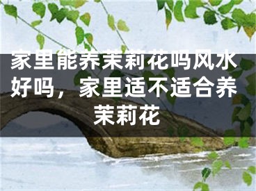 家里能养茉莉花吗风水好吗，家里适不适合养茉莉花