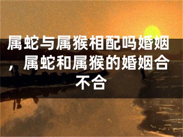 属蛇与属猴相配吗婚姻,属蛇和属猴的婚姻合不合