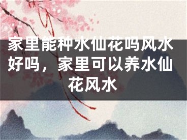 家里能种水仙花吗风水好吗,家里可以养水仙花风水