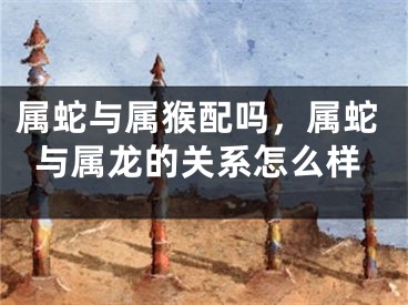属蛇与属猴配吗,属蛇与属龙的关系怎么样