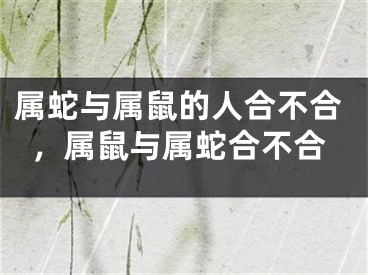 属蛇与属鼠的人合不合,属鼠与属蛇合不合