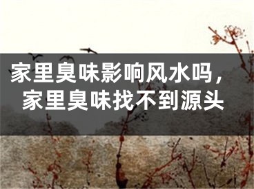 家里臭味影响风水吗,家里臭味找不到源头