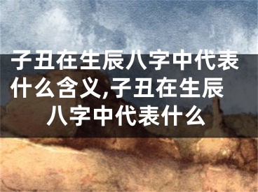 子丑在生辰八字中代表什么含义,子丑在生辰八字中代表什么