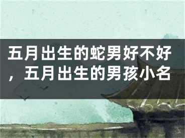 五月出生的蛇男好不好,五月出生的男孩小名