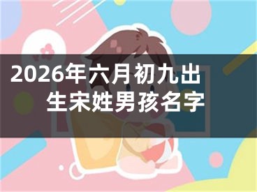 2026年六月初九出生宋姓男孩名字