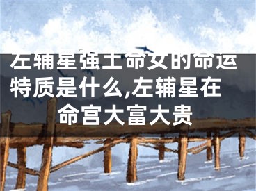 左辅星强土命女的命运特质是什么,左辅星在命宫大富大贵