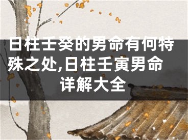 日柱壬癸的男命有何特殊之处,日柱壬寅男命详解大全
