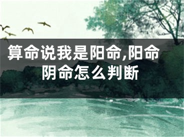 算命说我是阳命,阳命阴命怎么判断