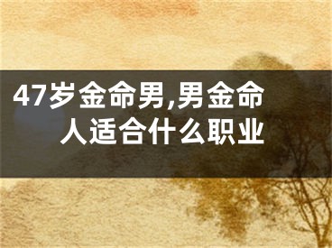 47岁金命男,男金命人适合什么职业