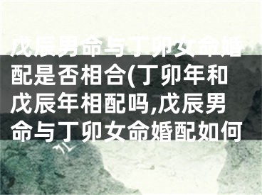 戊辰男命与丁卯女命婚配是否相合(丁卯年和戊辰年相配吗,戊辰男命与丁卯女命婚配如何