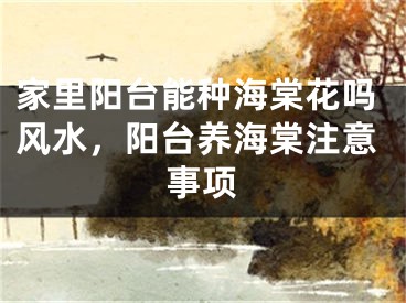 家里阳台能种海棠花吗风水，阳台养海棠注意事项