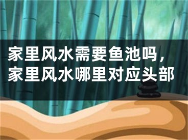 家里风水需要鱼池吗，家里风水哪里对应头部