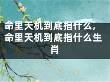 命里天机到底指什么,命里天机到底指什么生肖