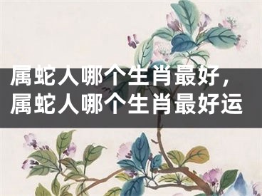 属蛇人哪个生肖最好,属蛇人哪个生肖最好运