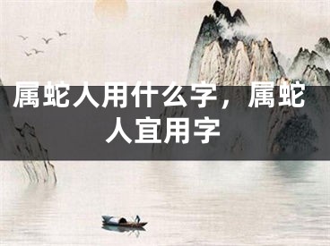 属蛇人用什么字，属蛇人宜用字