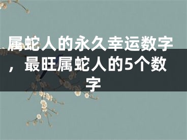 属蛇人的永久幸运数字，最旺属蛇人的5个数字