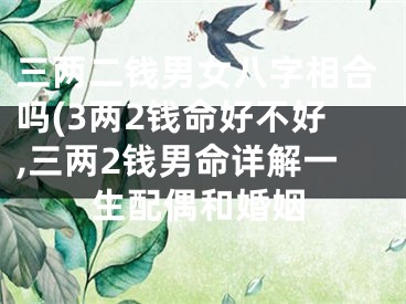 三两二钱男女八字相合吗(3两2钱命好不好,三两2钱男命详解一生配偶和婚姻
