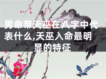 男命带天巫在八字中代表什么,天巫入命最明显的特征