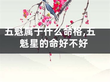 五魁属于什么命格,五魁星的命好不好