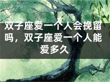 双子座爱一个人会挽留吗，双子座爱一个人能爱多久