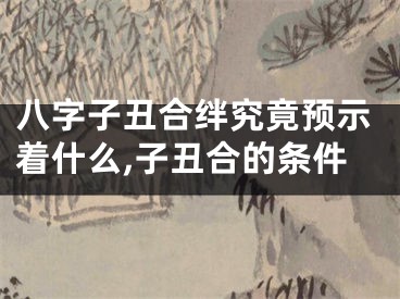 八字子丑合绊究竟预示着什么,子丑合的条件