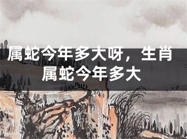 属蛇今年多大呀,生肖属蛇今年多大