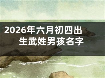 2026年六月初四出生武姓男孩名字