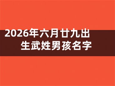 2026年六月廿九出生武姓男孩名字