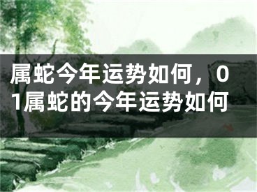 属蛇今年运势如何,01属蛇的今年运势如何