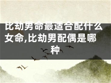 比劫男命最适合配什么女命,比劫男配偶是哪种