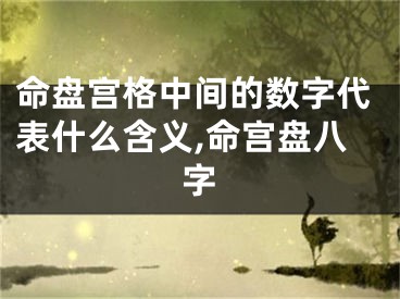 命盘宫格中间的数字代表什么含义,命宫盘八字