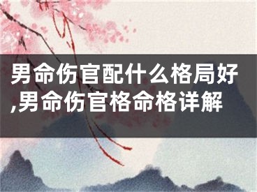 男命伤官配什么格局好,男命伤官格命格详解