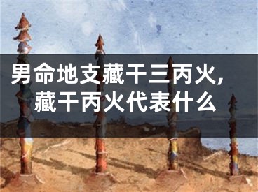 男命地支藏干三丙火,藏干丙火代表什么