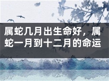 属蛇几月出生命好，属蛇一月到十二月的命运