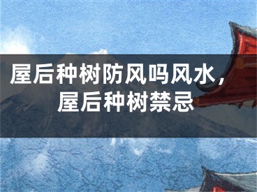 屋后种树防风吗风水,屋后种树禁忌