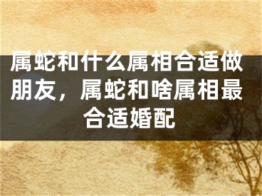 属蛇和什么属相合适做朋友,属蛇和啥属相最合适婚配